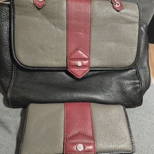 Matching Danier leather bag and purse